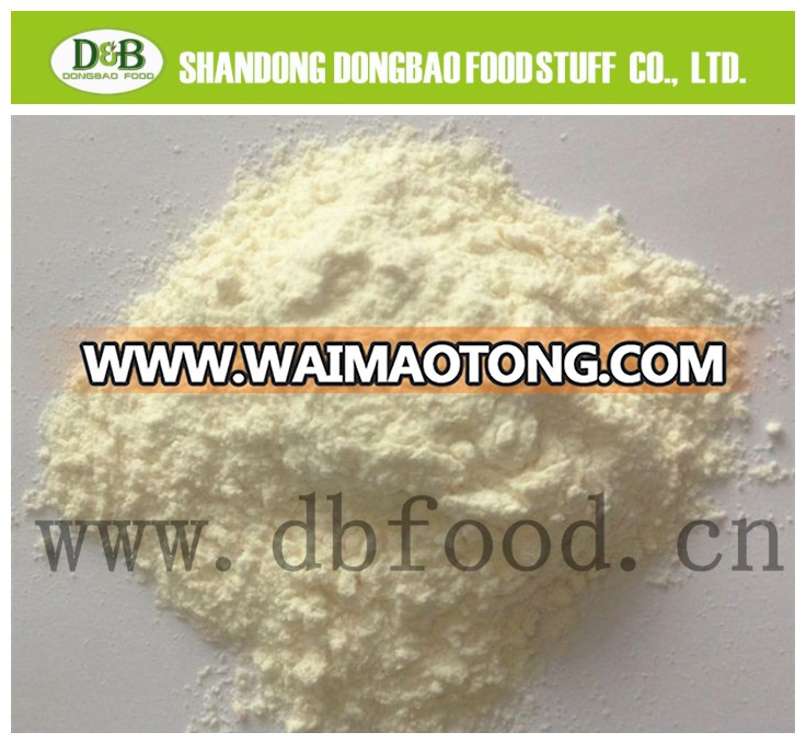 dehydrated garlic powder 100-120 mesh ,good quality from our factory